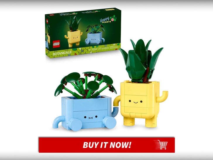 Happy-Plants-Lego-Botanicals-PRINCIPAL