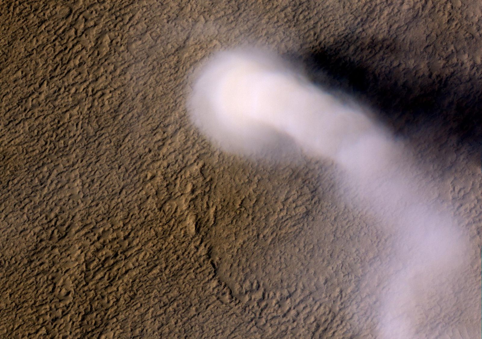A dust storm swirls across the Amazon plain.