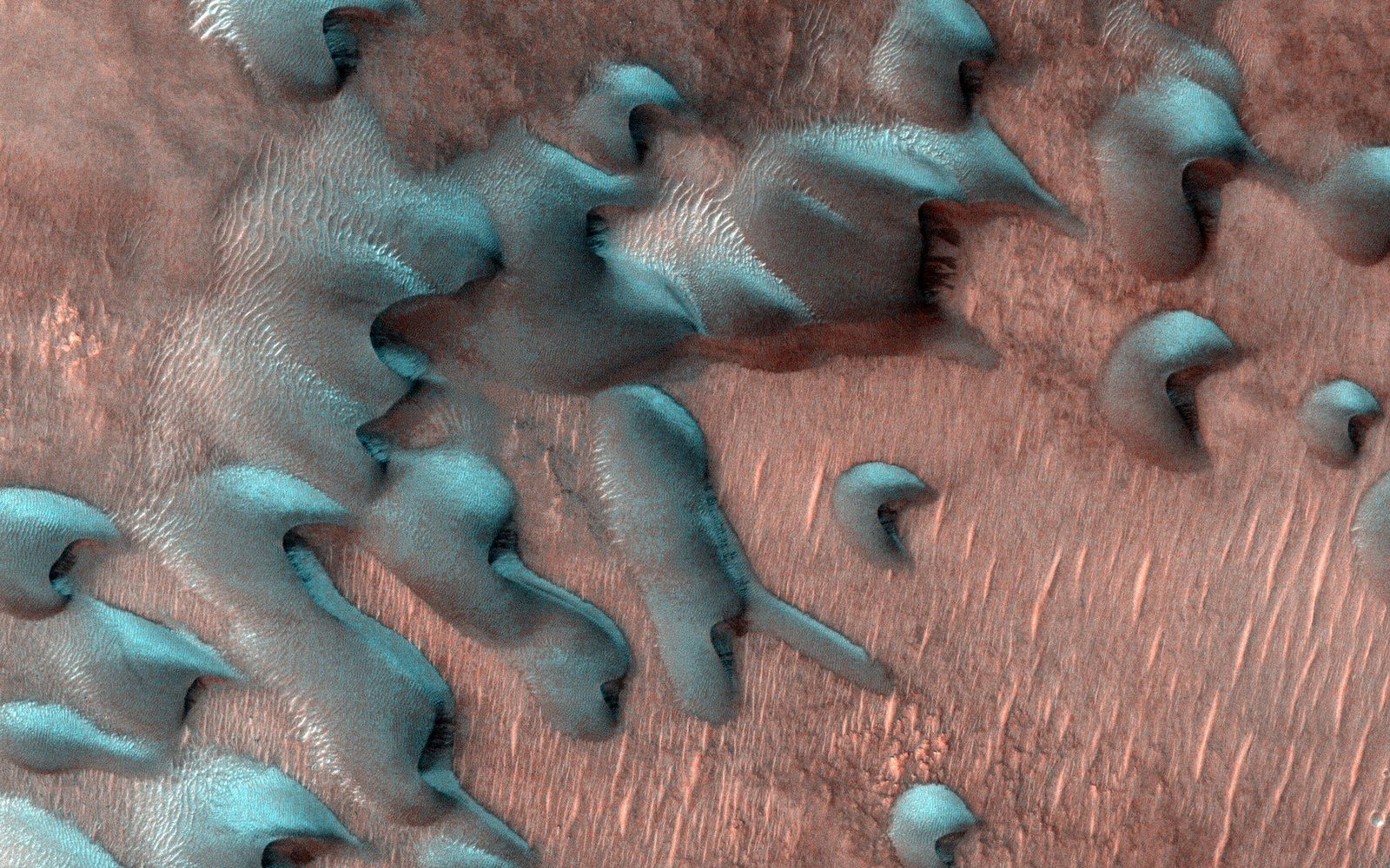 Frozen dunes in the middle of winter.